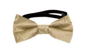 SNAZZY Gold babyfluga