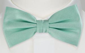 SOLID Light turquoise fluga
