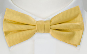 SOLID Light yellow fluga