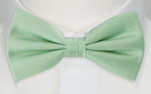 SOLID Pastel green fluga