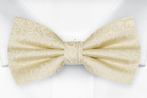 SWANKY Champagne barnfluga