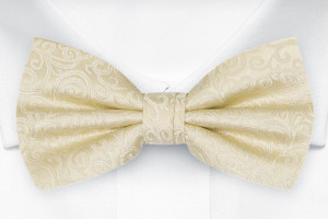 SWANKY Champagne fluga