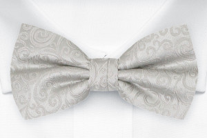 SWANKY Silver barnfluga