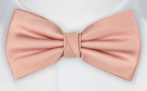 Twillie Blush Pink barnfluga