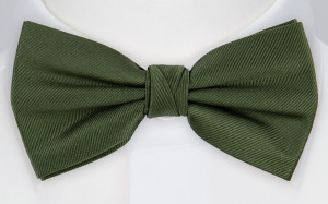 Twillie Seaweed Green barnfluga