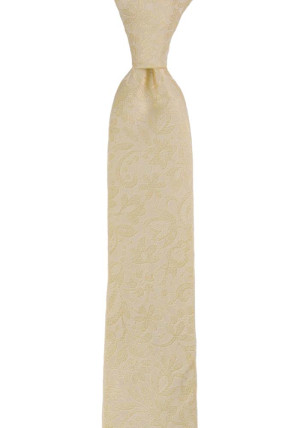 VIGSEL CHAMPAGNE smal slips