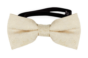VIGSEL CHAMPAGNE babyfluga